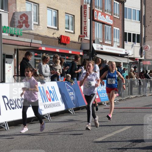 15.09.2024 - PSD Bank Halbmarathon Michael Strokosch http://msf.ph/oto/7070478 15.09.2024 10:26:38 Ziel 134, 143, 173, 196, 209, 212, 229, 237, 251, 307 meine-sportfotos.de