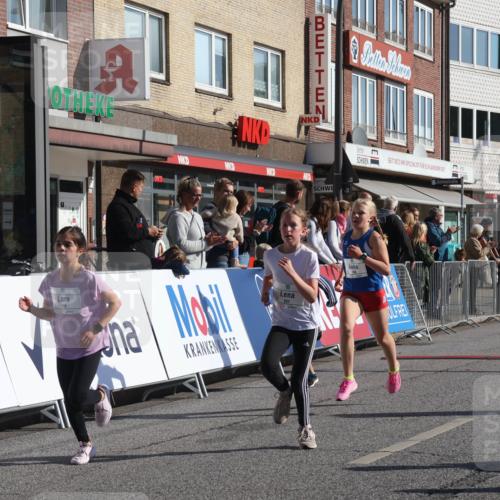 15.09.2024 - PSD Bank Halbmarathon Michael Strokosch http://msf.ph/oto/7070482 15.09.2024 10:26:38 Ziel 134, 143, 173, 196, 209, 212, 229, 237, 251, 307 meine-sportfotos.de