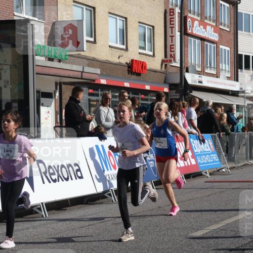 15.09.2024 - PSD Bank Halbmarathon Michael Strokosch http://msf.ph/oto/7070488 15.09.2024 10:26:38 Ziel 134, 143, 173, 196, 209, 212, 229, 237, 251, 307 meine-sportfotos.de