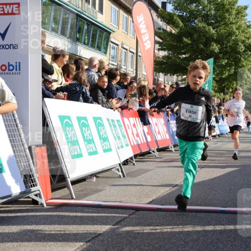 15.09.2024 - PSD Bank Halbmarathon Strokosch-Dieckow http://msf.ph/oto/7070500 15.09.2024 10:28:24 Ziel 14, 43, 77, 84, 94, 132, 135, 161, 166, 208, 217, 230, 258, 262, 293 meine-sportfotos.de