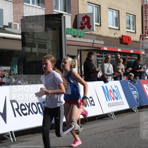 15.09.2024 - PSD Bank Halbmarathon Michael Strokosch http://msf.ph/oto/7070501 15.09.2024 10:26:39 Ziel 134, 173, 196, 209, 212, 215, 229, 237, 307 meine-sportfotos.de