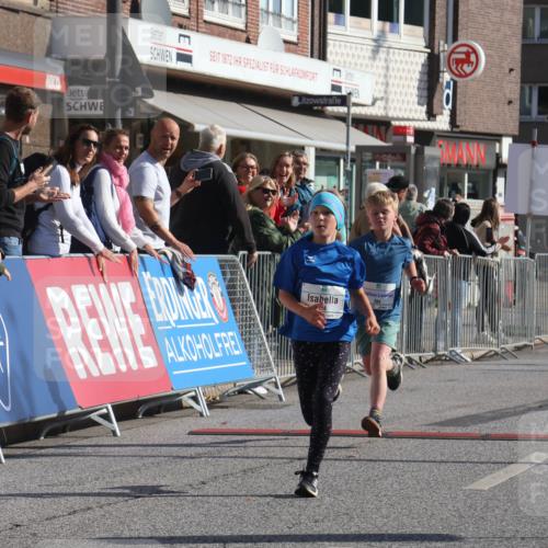15.09.2024 - PSD Bank Halbmarathon Michael Strokosch http://msf.ph/oto/7070527 15.09.2024 10:26:46 Ziel 69, 134, 173, 196, 209, 212, 215, 229, 237, 284, 307 meine-sportfotos.de