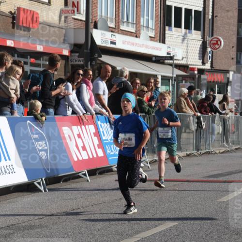 15.09.2024 - PSD Bank Halbmarathon Michael Strokosch http://msf.ph/oto/7070532 15.09.2024 10:26:47 Ziel 69, 134, 173, 196, 209, 212, 215, 229, 237, 284, 307 meine-sportfotos.de