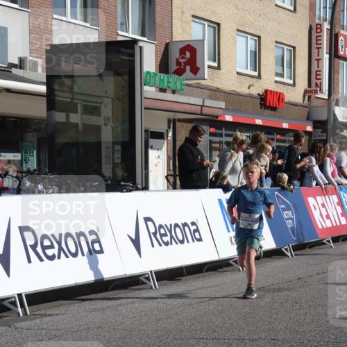 15.09.2024 - PSD Bank Halbmarathon Michael Strokosch http://msf.ph/oto/7070556 15.09.2024 10:26:48 Ziel 42, 69, 134, 173, 196, 212, 215, 229, 237, 284 meine-sportfotos.de