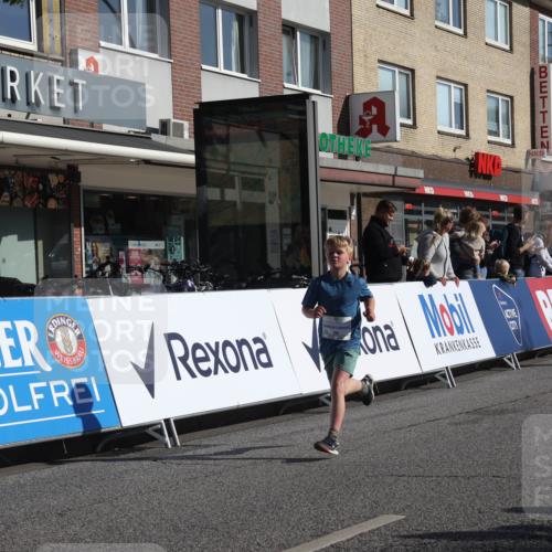 15.09.2024 - PSD Bank Halbmarathon Michael Strokosch http://msf.ph/oto/7070565 15.09.2024 10:26:49 Ziel 42, 69, 134, 196, 212, 215, 237, 284 meine-sportfotos.de