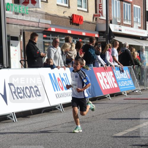 15.09.2024 - PSD Bank Halbmarathon Michael Strokosch http://msf.ph/oto/7070663 15.09.2024 10:26:57 Ziel 18, 42, 69, 75, 82, 167, 215, 270, 284, 294 meine-sportfotos.de
