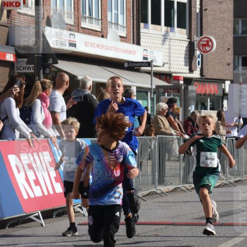 15.09.2024 - PSD Bank Halbmarathon Michael Strokosch http://msf.ph/oto/7070691 15.09.2024 10:27:01 Ziel 18, 42, 69, 75, 82, 167, 198, 210, 270, 294 meine-sportfotos.de