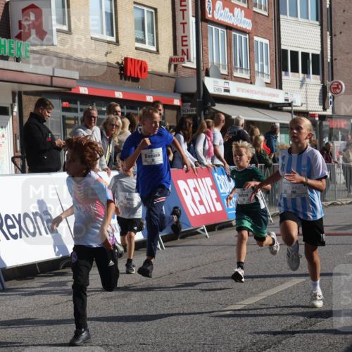 15.09.2024 - PSD Bank Halbmarathon Michael Strokosch http://msf.ph/oto/7070704 15.09.2024 10:27:01 Ziel 18, 42, 69, 75, 82, 167, 198, 210, 270, 294 meine-sportfotos.de