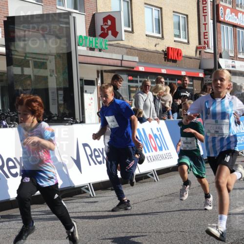 15.09.2024 - PSD Bank Halbmarathon Michael Strokosch http://msf.ph/oto/7070708 15.09.2024 10:27:02 Ziel 18, 42, 69, 75, 82, 167, 198, 210, 270, 294 meine-sportfotos.de