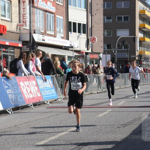 15.09.2024 - PSD Bank Halbmarathon Michael Strokosch http://msf.ph/oto/7070808 15.09.2024 10:27:12 Ziel 18, 48, 75, 82, 87, 136, 139, 167, 198, 210, 219, 268, 270, 272, 294 meine-sportfotos.de