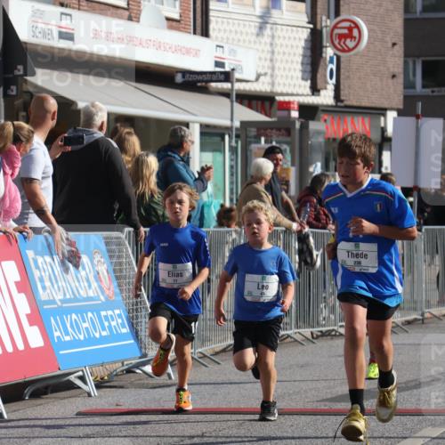 15.09.2024 - PSD Bank Halbmarathon Michael Strokosch http://msf.ph/oto/7071298 15.09.2024 10:27:54 Ziel 14, 27, 28, 43, 73, 77, 108, 128, 138, 230, 247, 249, 261, 293, 296 meine-sportfotos.de