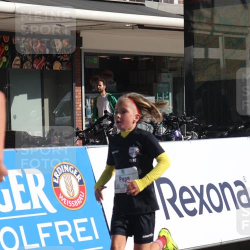 15.09.2024 - PSD Bank Halbmarathon Michael Strokosch http://msf.ph/oto/7071348 15.09.2024 10:27:58 Ziel 14, 27, 28, 43, 77, 94, 108, 128, 132, 138, 161, 217, 230, 247, 261, 262, 293 meine-sportfotos.de