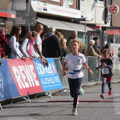 15.09.2024 - PSD Bank Halbmarathon Michael Strokosch http://msf.ph/oto/7071381 15.09.2024 10:28:01 Ziel 14, 43, 77, 84, 94, 128, 132, 138, 161, 208, 217, 230, 247, 261, 262, 293 meine-sportfotos.de