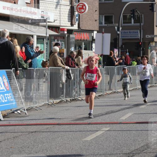 15.09.2024 - PSD Bank Halbmarathon Michael Strokosch http://msf.ph/oto/7072291 15.09.2024 10:29:25 Ziel 46, 70, 80, 85, 111, 120, 194, 254, 255 meine-sportfotos.de