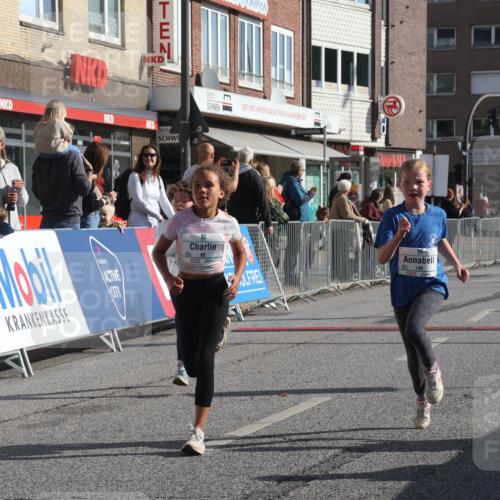 15.09.2024 - PSD Bank Halbmarathon Michael Strokosch http://msf.ph/oto/7072355 15.09.2024 10:29:29 Ziel 46, 60, 80, 85, 111, 112, 120, 194 meine-sportfotos.de