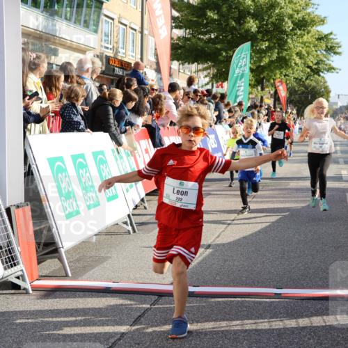 15.09.2024 - PSD Bank Halbmarathon Strokosch-Dieckow http://msf.ph/oto/7072775 15.09.2024 10:29:12 Ziel 106, 107, 137, 140, 154, 170, 179, 189, 222, 231, 288, 292 meine-sportfotos.de
