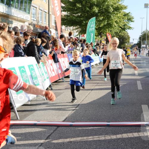15.09.2024 - PSD Bank Halbmarathon Strokosch-Dieckow http://msf.ph/oto/7072845 15.09.2024 10:29:12 Ziel 106, 107, 137, 140, 154, 170, 179, 189, 222, 231, 288, 292 meine-sportfotos.de