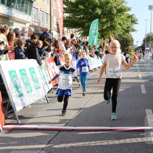 15.09.2024 - PSD Bank Halbmarathon Strokosch-Dieckow http://msf.ph/oto/7072958 15.09.2024 10:29:13 Ziel 106, 107, 137, 140, 150, 154, 170, 179, 189, 222, 231, 288, 292 meine-sportfotos.de