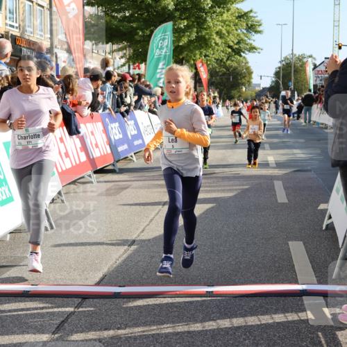 15.09.2024 - PSD Bank Halbmarathon Strokosch-Dieckow http://msf.ph/oto/7074178 15.09.2024 10:29:26 Ziel 5, 12, 47, 70, 150, 154, 170, 179, 180, 189, 231, 244, 254, 271, 288, 292, 297 meine-sportfotos.de