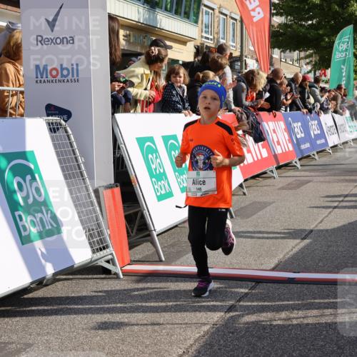 15.09.2024 - PSD Bank Halbmarathon Strokosch-Dieckow http://msf.ph/oto/7078114 15.09.2024 10:31:03 Ziel 38, 44, 145, 147, 214, 234 meine-sportfotos.de