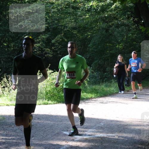 22.09.2024 - 32. Volkslauf durch das schöne Alstertal Luisa Fischer http://msf.ph/oto/7101479 22.09.2024 10:18:00 Laufen 1517, 1518, 1538, 1525 meine-sportfotos.de