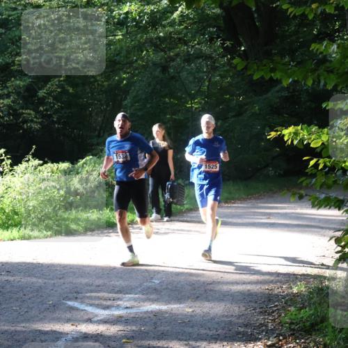 22.09.2024 - 32. Volkslauf durch das schöne Alstertal Luisa Fischer http://msf.ph/oto/7101480 22.09.2024 10:18:02 Laufen 1538, 1525 meine-sportfotos.de