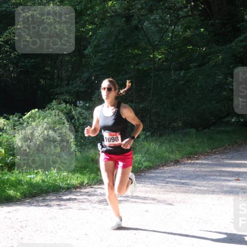22.09.2024 - 32. Volkslauf durch das schöne Alstertal Luisa Fischer http://msf.ph/oto/7101485 22.09.2024 10:18:09 Laufen 1098 meine-sportfotos.de