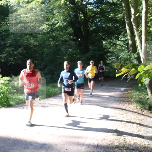 22.09.2024 - 32. Volkslauf durch das schöne Alstertal Luisa Fischer http://msf.ph/oto/7101492 22.09.2024 10:18:19 Laufen 1523, 1540, 1516, 1562 meine-sportfotos.de