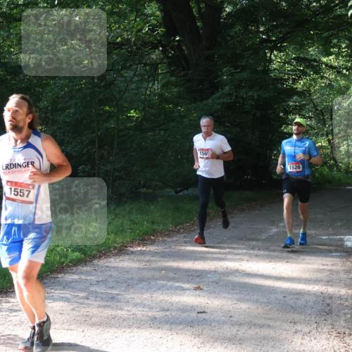 22.09.2024 - 32. Volkslauf durch das schöne Alstertal Luisa Fischer http://msf.ph/oto/7101523 22.09.2024 10:18:59 Laufen 1569, 1557, 1526 meine-sportfotos.de
