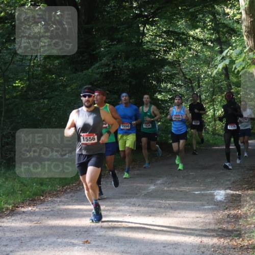 22.09.2024 - 32. Volkslauf durch das schöne Alstertal Luisa Fischer http://msf.ph/oto/7101540 22.09.2024 10:19:41 Laufen 1556, 1533, 1559, 1570, 1550, 1534, 1529 meine-sportfotos.de