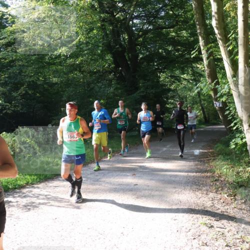 22.09.2024 - 32. Volkslauf durch das schöne Alstertal Luisa Fischer http://msf.ph/oto/7101545 22.09.2024 10:19:43 Laufen 1556, 1533, 1534, 1550, 1563, 1529, 1570 meine-sportfotos.de