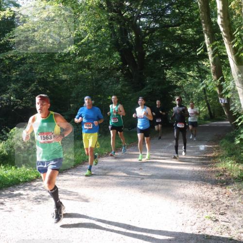 22.09.2024 - 32. Volkslauf durch das schöne Alstertal Luisa Fischer http://msf.ph/oto/7101546 22.09.2024 10:19:43 Laufen 1563, 1550, 1534, 1529 meine-sportfotos.de