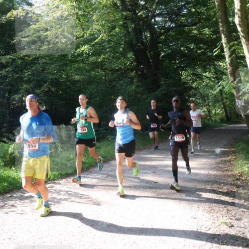 22.09.2024 - 32. Volkslauf durch das schöne Alstertal Luisa Fischer http://msf.ph/oto/7101548 22.09.2024 10:19:44 Laufen 1550, 1534, 1533, 1559, 1529, 1570 meine-sportfotos.de