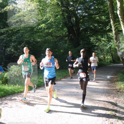 22.09.2024 - 32. Volkslauf durch das schöne Alstertal Luisa Fischer http://msf.ph/oto/7101549 22.09.2024 10:19:44 Laufen 1550, 1534, 1533, 1529, 1570 meine-sportfotos.de