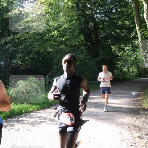 22.09.2024 - 32. Volkslauf durch das schöne Alstertal Luisa Fischer http://msf.ph/oto/7101551 22.09.2024 10:19:45 Laufen 1533, 1529, 1570 meine-sportfotos.de