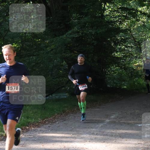 22.09.2024 - 32. Volkslauf durch das schöne Alstertal Luisa Fischer http://msf.ph/oto/7101561 22.09.2024 10:20:00 Laufen 1578, 1566, 1551, 1600 meine-sportfotos.de
