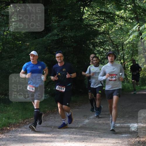 22.09.2024 - 32. Volkslauf durch das schöne Alstertal Luisa Fischer http://msf.ph/oto/7101566 22.09.2024 10:20:04 Laufen 1576, 1551, 1600 meine-sportfotos.de