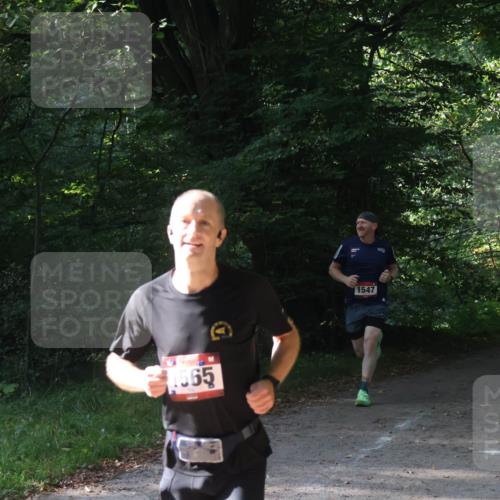 22.09.2024 - 32. Volkslauf durch das schöne Alstertal Luisa Fischer http://msf.ph/oto/7101574 22.09.2024 10:20:07 Laufen 1565, 1547, 1591 meine-sportfotos.de