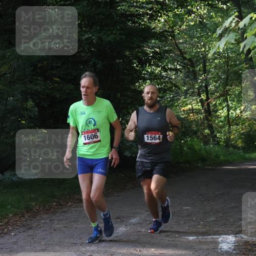 22.09.2024 - 32. Volkslauf durch das schöne Alstertal Luisa Fischer http://msf.ph/oto/7101587 22.09.2024 10:20:21 Laufen 1606, 1564, 17 meine-sportfotos.de