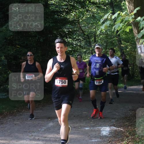 22.09.2024 - 32. Volkslauf durch das schöne Alstertal Luisa Fischer http://msf.ph/oto/7101600 22.09.2024 10:20:41 Laufen 1693, 1005, 1750, 1584, 17 meine-sportfotos.de