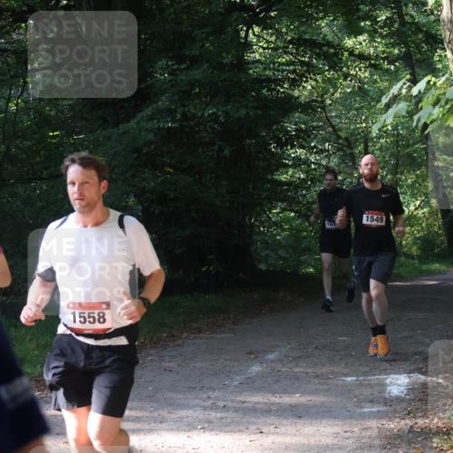 22.09.2024 - 32. Volkslauf durch das schöne Alstertal Luisa Fischer http://msf.ph/oto/7101610 22.09.2024 10:20:44 Laufen 1558, 169, 1549 meine-sportfotos.de