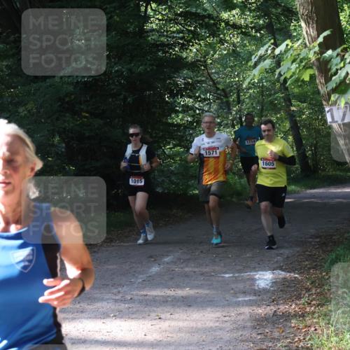 22.09.2024 - 32. Volkslauf durch das schöne Alstertal Luisa Fischer http://msf.ph/oto/7101613 22.09.2024 10:20:57 Laufen 1015, 1714, 1571, 1605 meine-sportfotos.de