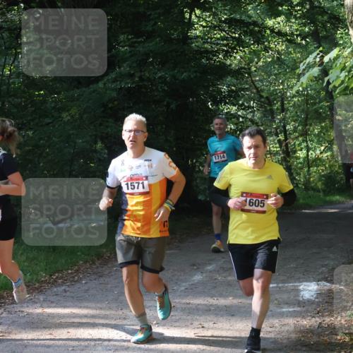 22.09.2024 - 32. Volkslauf durch das schöne Alstertal Luisa Fischer http://msf.ph/oto/7101615 22.09.2024 10:20:59 Laufen 1714, 1015, 1571, 605 meine-sportfotos.de