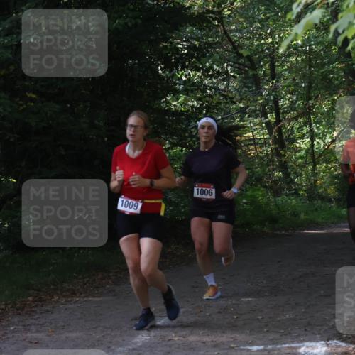 22.09.2024 - 32. Volkslauf durch das schöne Alstertal Luisa Fischer http://msf.ph/oto/7101619 22.09.2024 10:21:04 Laufen 1009, 1006, 1019, 17 meine-sportfotos.de