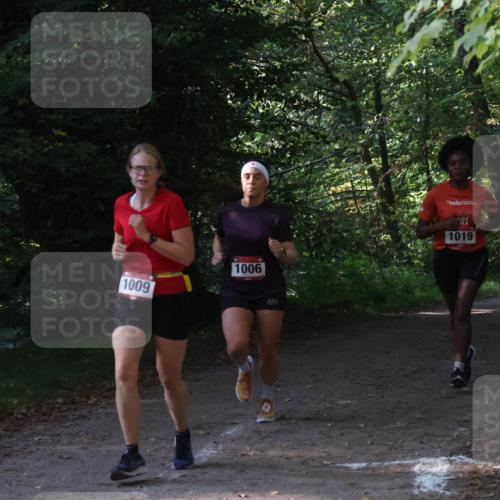22.09.2024 - 32. Volkslauf durch das schöne Alstertal Luisa Fischer http://msf.ph/oto/7101620 22.09.2024 10:21:04 Laufen 1009, 1006, 1019, 17 meine-sportfotos.de