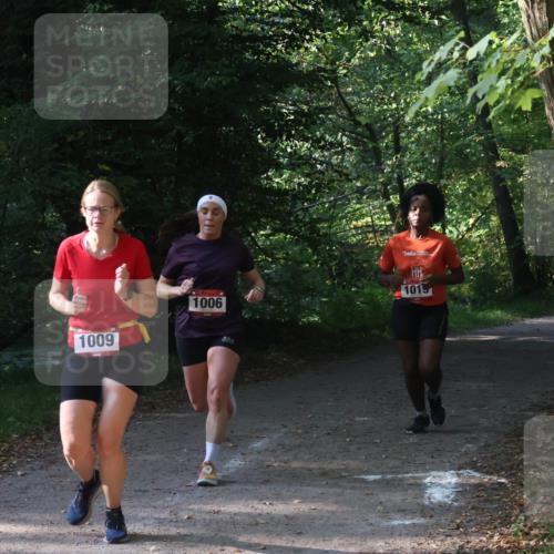 22.09.2024 - 32. Volkslauf durch das schöne Alstertal Luisa Fischer http://msf.ph/oto/7101621 22.09.2024 10:21:05 Laufen 1009, 1006, 1019 meine-sportfotos.de