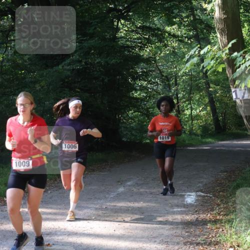 22.09.2024 - 32. Volkslauf durch das schöne Alstertal Luisa Fischer http://msf.ph/oto/7101622 22.09.2024 10:21:05 Laufen 1009, 1006, 1019 meine-sportfotos.de