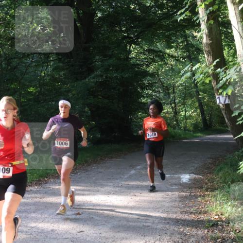 22.09.2024 - 32. Volkslauf durch das schöne Alstertal Luisa Fischer http://msf.ph/oto/7101623 22.09.2024 10:21:06 Laufen 1009, 1006, 1019 meine-sportfotos.de