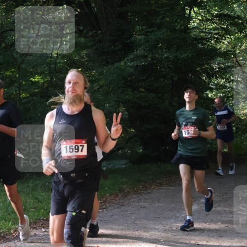 22.09.2024 - 32. Volkslauf durch das schöne Alstertal Luisa Fischer http://msf.ph/oto/7101636 22.09.2024 10:21:21 Laufen 1597, 153, 1593 meine-sportfotos.de