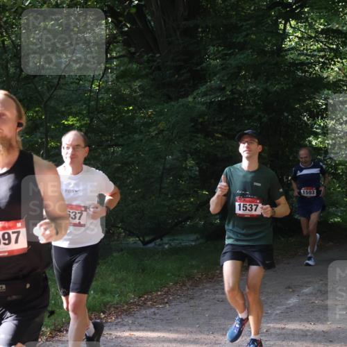 22.09.2024 - 32. Volkslauf durch das schöne Alstertal Luisa Fischer http://msf.ph/oto/7101637 22.09.2024 10:21:22 Laufen 1597, 537, 1537, 1593 meine-sportfotos.de